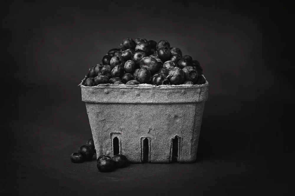 Still Life - Giclee Fine Art Photography Prints